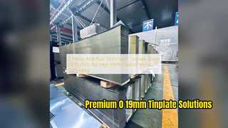 แผ่นเหล็กวิลาดพรีเมี่ยม 0 19 มม. สำหรับบรรจุภัณฑ์โลหะความเร็วสูง